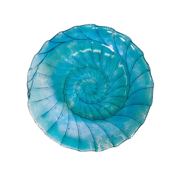 Ammonite Glas Schale