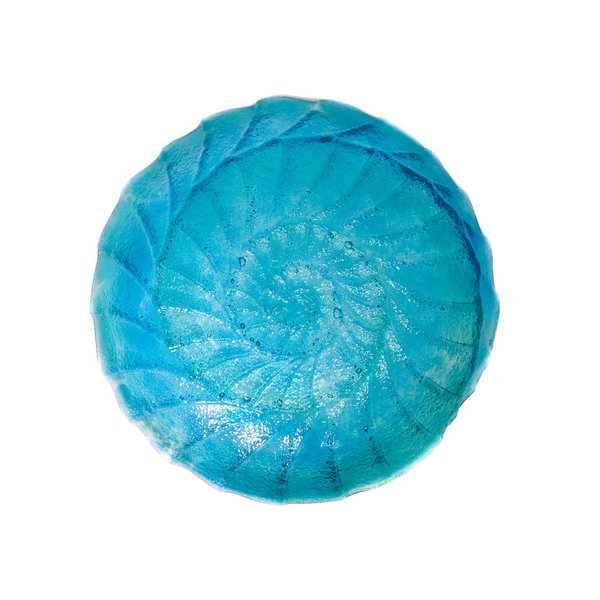 Ammonite Glas Schale